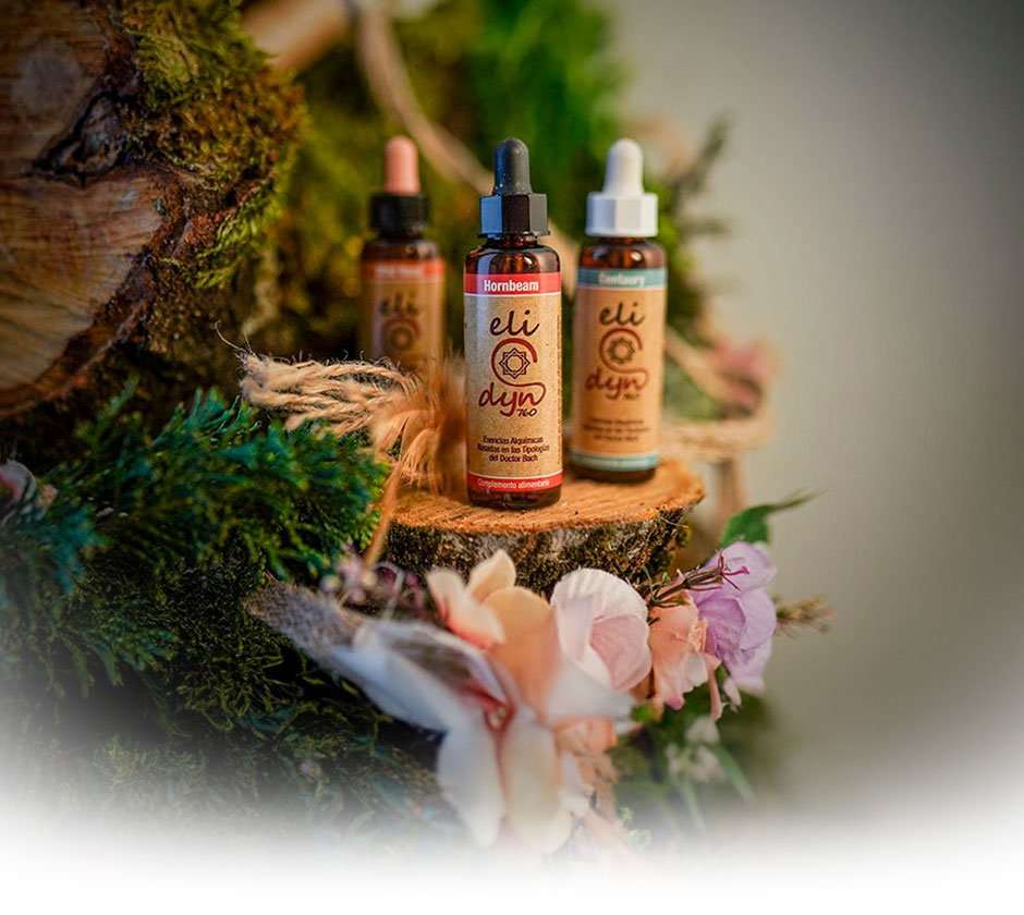 Centro Chí Ourense,terapias holísticas,servicios de salud,belleza,bienestar integral,terapias alternativas,terapias naturales,bienestar emocional