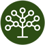 Bioneuroemoción,terapia emocional,sanación emocional,bienestar físico y emocional,Centro Chí Ourense,terapia integrativa,salud holística,transformación personal